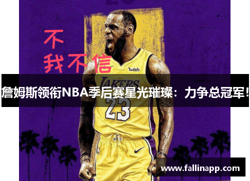 詹姆斯领衔NBA季后赛星光璀璨：力争总冠军！