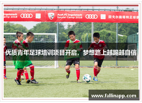 优质青年足球培训项目开启，梦想路上越踢越自信